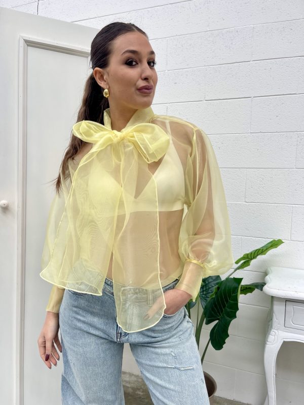 Camicetta in tulle L045